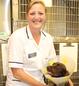 Gemma-James-at-Bay-Vets