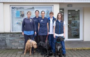 Milnthorpe team with 3 dogs