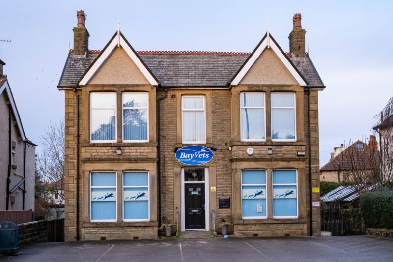 Morecambe Vets Vets in Morecambe Bay Vets