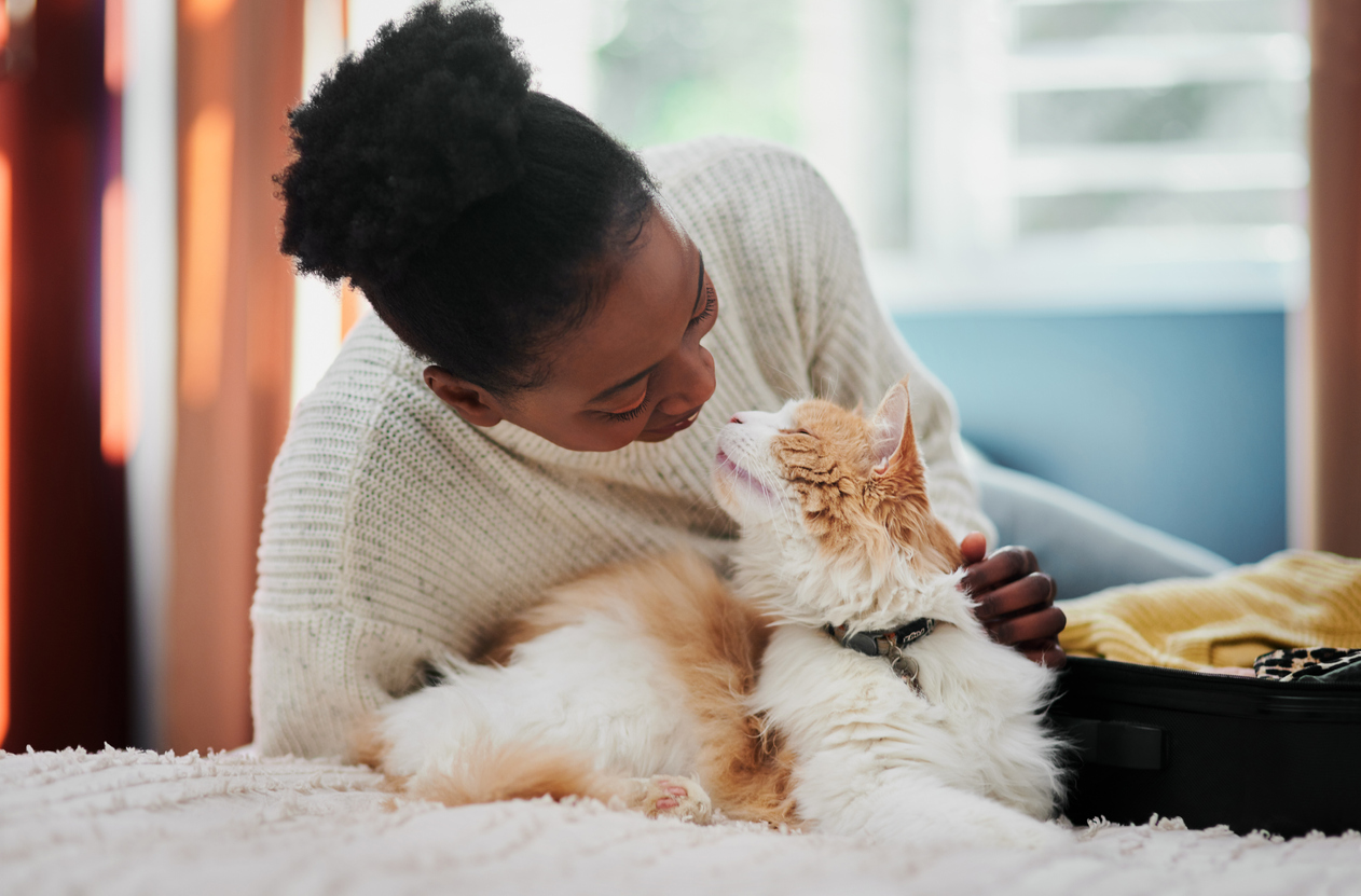 Is Your Cat Happy? A Guide To Feline Emotions