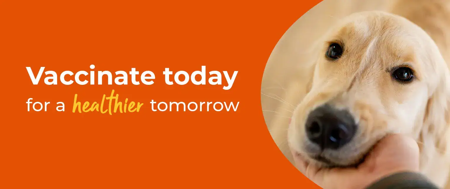 Vaccinate today for a healthier tomorrow