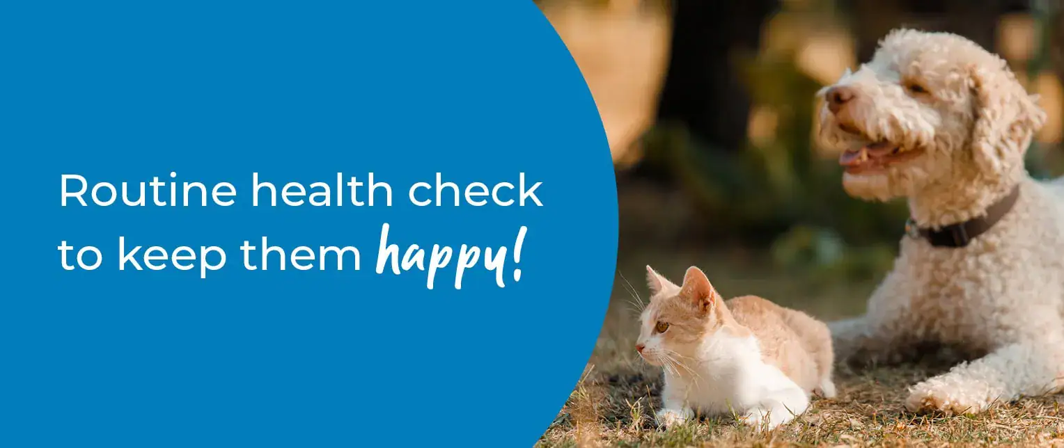 Routine health check to keep them happy!
