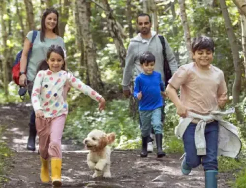 Introducing Pets to Children