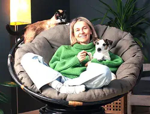 Vital Pet Products for Dogs and Cats and How Your Vet Can Help